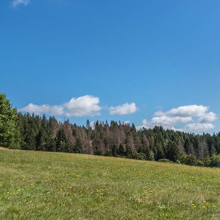 Haus Isele Lägenhet Urberg Exteriör bild